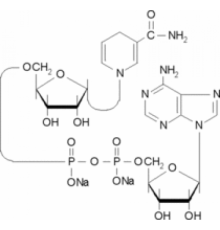 -Никотинамидадениндинуклеотид, восстановленная динатриевая соль 90% Sigma N6879