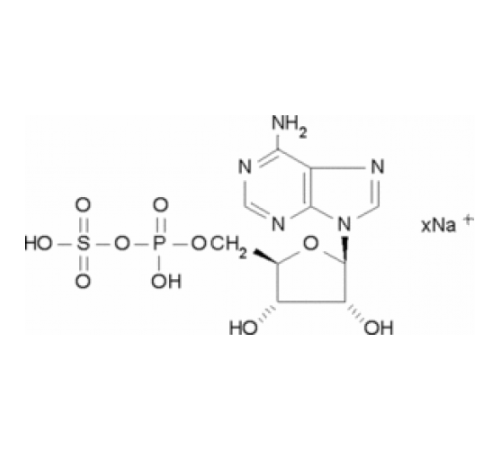 Аденозин-5'-фосфосульфат натриевая соль 85% Sigma A5508