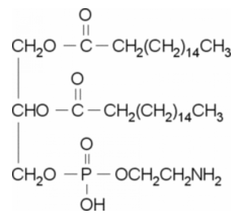 1,2-дигептадеканоил-sn-глицеро-3-фосфоэтаноламин 99% (GC) Sigma P8664