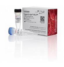 Набор SuperScript VILO cDNA Synthesis Kit, Thermo FS